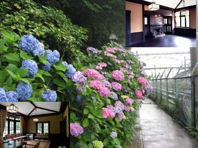 【紫陽花の名所の公園を巡ろう！】6/6 14時　王子駅　飛鳥山公園～旧渋沢家飛鳥山邸【大正時代の建築を見よう】参加費還元