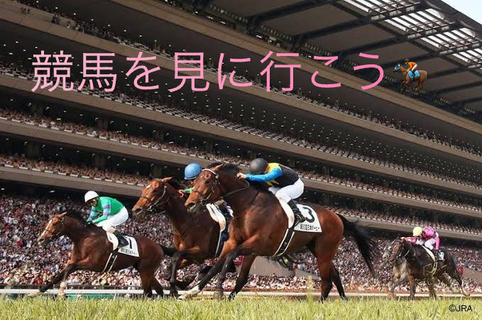 東京競馬場に行こう！（東京都府中市）副代表企画