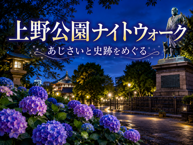 上野公園ナイトウォーク｜夜のあじさい＆史跡巡りさんぽ