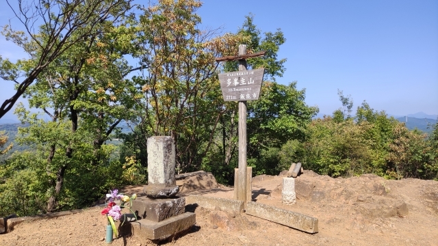 埼玉県天覧山、多峯主山でゆる登山🔰＆夏の川涼み🪭