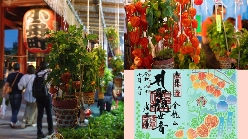 【女性主催】浅草寺の四万六千日ほおずき市にいこう！