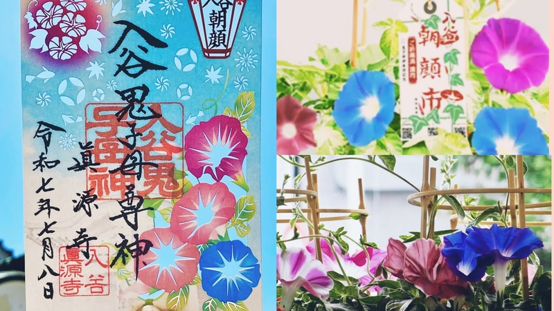 【女性主催】入谷朝顔まつりと真源寺にいこう！