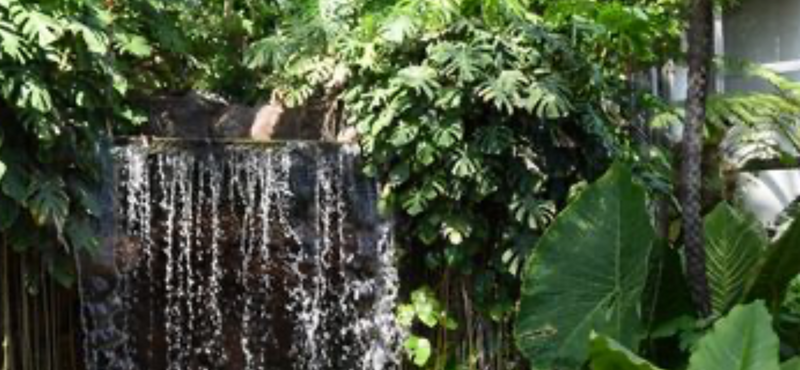 【新木場夢の島植物園】自然と癒しの楽園で心をリフレッシュ🌿✨