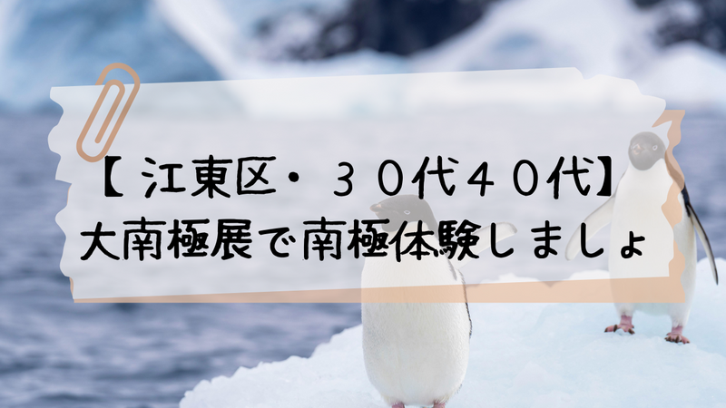 【江東区・３０代４０代】猛暑前に南極を実体験できる展示会に行こう♪
