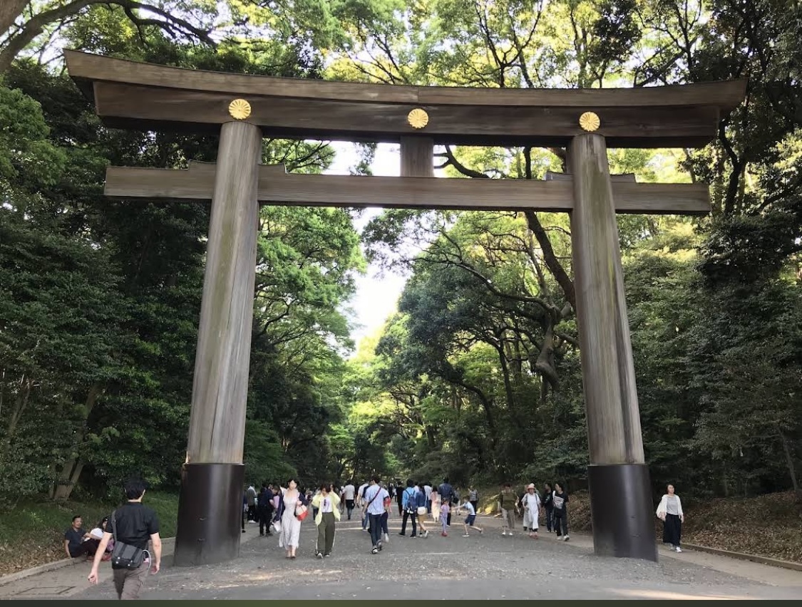 【6/13(土)代々木公園】週末の朝を最高に。新緑の中で心も体もリセットする、大人のリフレッシュ朝ラン！