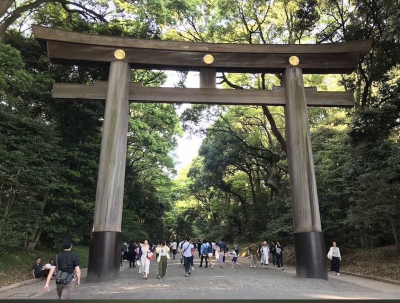 【6/13(土)代々木公園】週末の朝を最高に。新緑の中で心も体もリセットする、大人のリフレッシュ朝ラン！