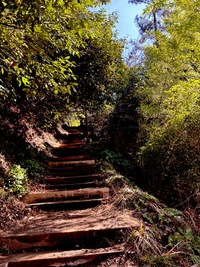 【6/10(水)高尾山】平日お休み限定🌿ゆる登山で心も体もデトックス！自然を満喫しよう✨🏔️✨
