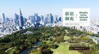 【新宿御苑🌳入園料無料】20代30代限定！リフレッシュ緑散歩イベント✨