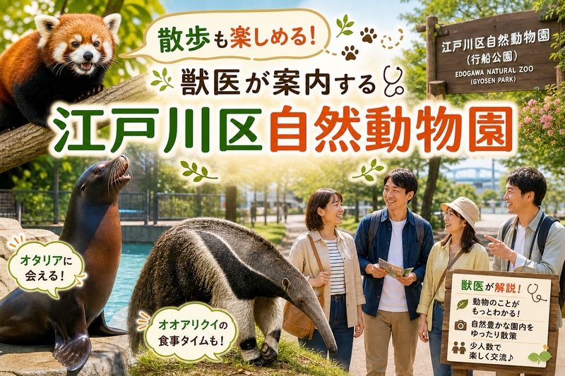 【🌿散歩にピッタリ！】🐅獣医が案内する江戸川区自然動物園ツアー🦙