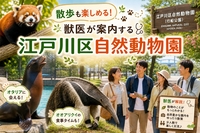 【🌿散歩にピッタリ！】🐅獣医が案内する江戸川区自然動物園ツアー🦙