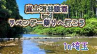 初夏の嵐山渓谷散策➕ラベンダー祭りに行ってみよう🪻in埼玉