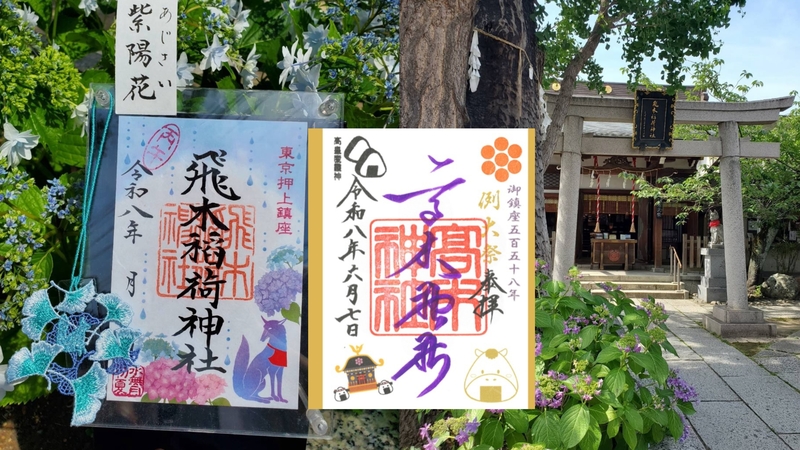 【女性主催】高木神社のお祭りで屋台食べ歩きとお守り&御朱印が可愛い飛木稲荷神社に行こう！