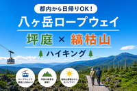 8/15【都内から日帰りOK！】夏でも涼しい！ロープウェイで楽々♪ 八ヶ岳・坪庭＆縞枯山絶景ハイキング