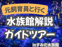 元･飼育員の「すみだ水族館」解説ガイドツアー