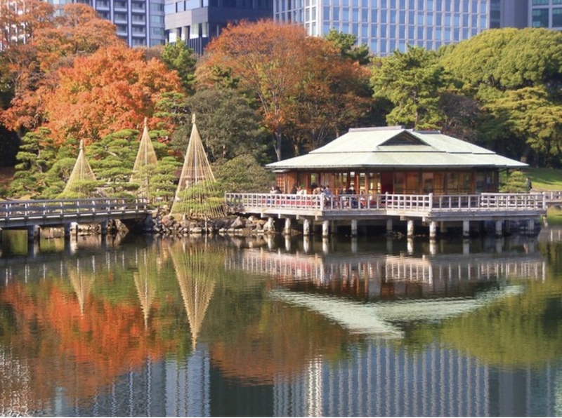 【早割中】浜離宮で紅葉散策〜🍁