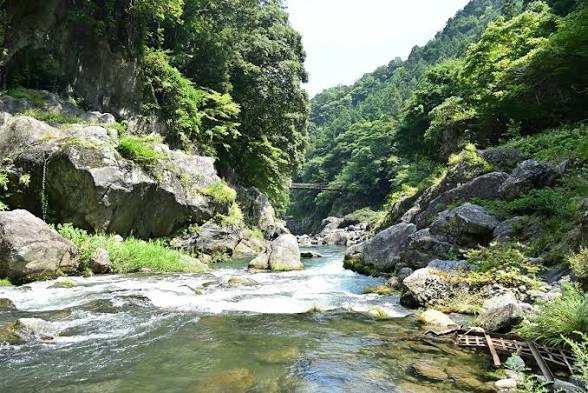 【奥多摩×ハイキング】夏休みの1日🎵夏は清流でリフレッシュしましょう🌿🚶‍♂️