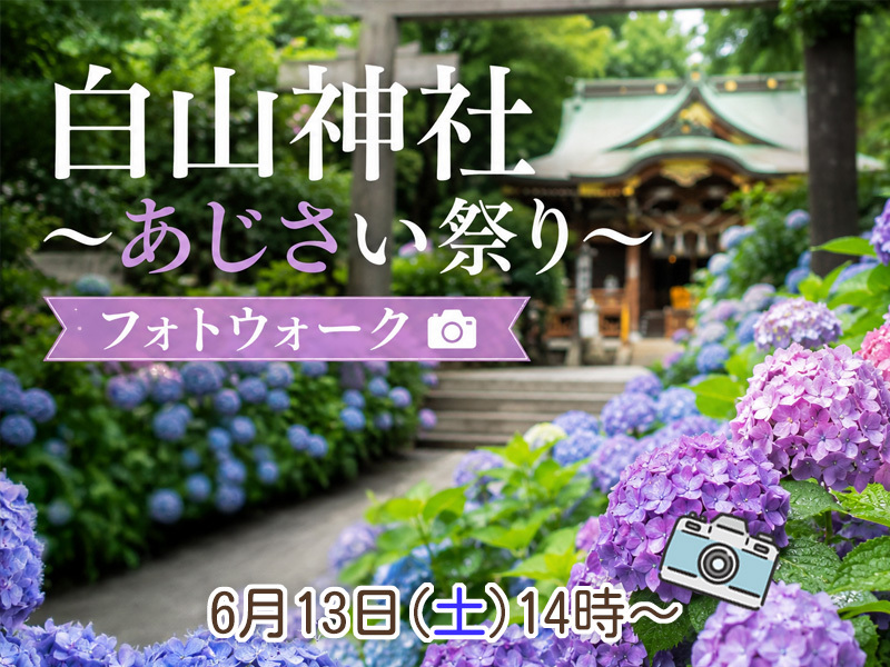 【東京フォトウォーク】白山神社周辺を歩いて写真を撮ろう(初心者・スマホ歓迎!)
