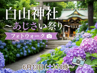 【東京フォトウォーク】白山神社周辺を歩いて写真を撮ろう(初心者・スマホ歓迎!)