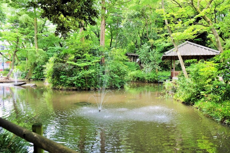【女性主催/20〜30代】新宿区立おとめ山公園でチルタイム🌲🌳🌲