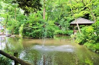 【女性主催/20〜30代】カフェでドリンク購入→新宿区立おとめ山公園でチルタイム🌲🌳🌲