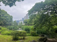 🚶🏻【日比谷公園】朝さんぽ と カフェトーク
