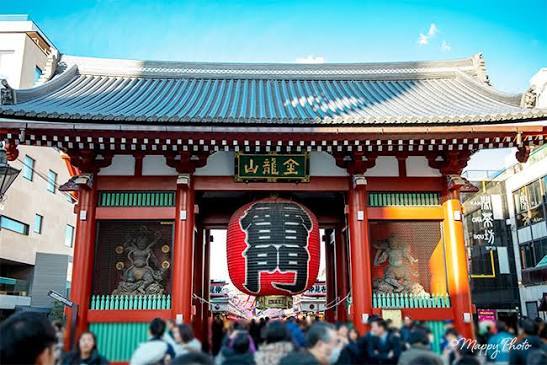 【初心者歓迎】カメラ片手に浅草カメラさんぽ📸⛩
