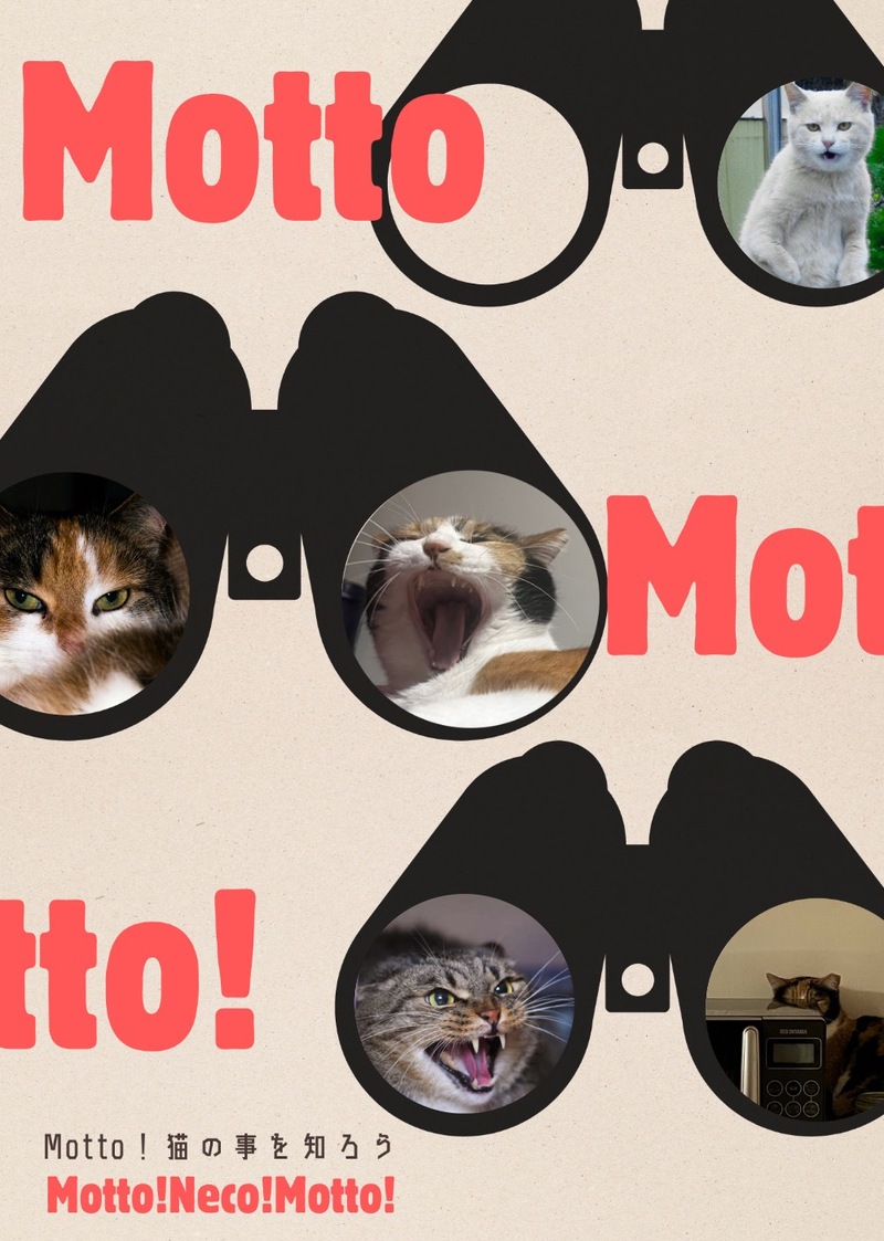 Motto！猫のきもちを知ろう！！
 猫好きの憩いの場づくりにも♡♡