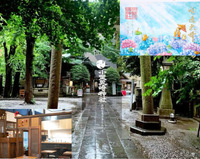 【神社参拝後に銭湯カフェに行こう！】6/27 10時 小野照崎神社～銭湯カフェ【参加費還元！】