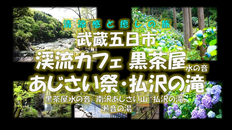 清涼感と癒しの旅 武蔵五日市 黒茶屋水の音・南沢あじさい山・払沢の滝
