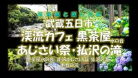 清涼感と癒しの旅 武蔵五日市 黒茶屋水の音・南沢あじさい山・払沢の滝