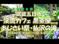 清涼感と癒しの旅 武蔵五日市 黒茶屋水の音・南沢あじさい山・払沢の滝