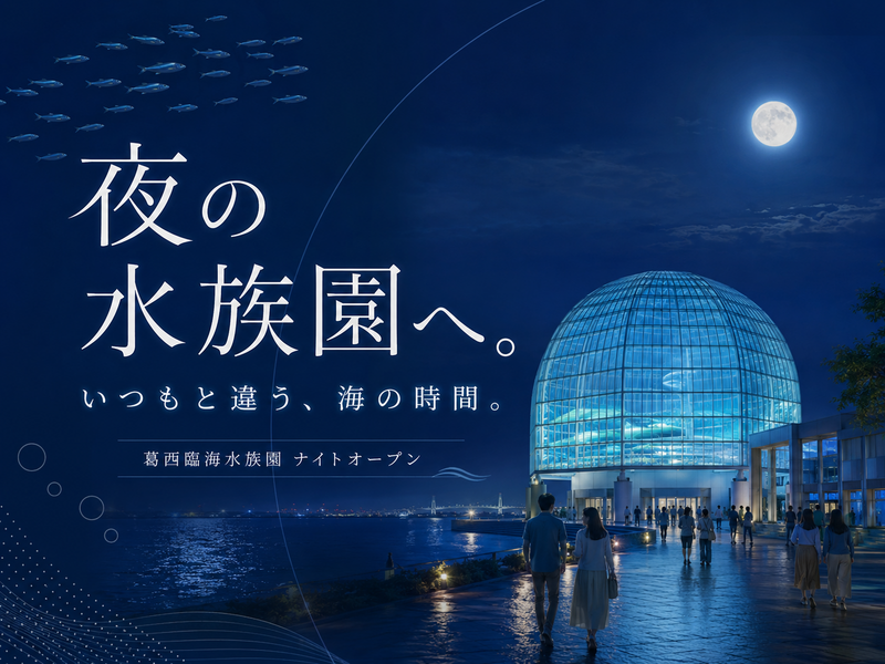【期間限定】夜の水族園で夕涼み、海の生き物と夏のひんやり時間を楽しもう🐟✨