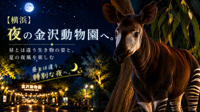 【横浜】夜の金沢動物園へ。昼間とは違う生き物の姿と、夏の夜風を楽しむ