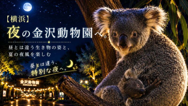 【横浜】夜の金沢動物園へ。昼間とは違う生き物の姿と、夏の夜風を楽しむ