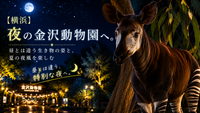 【横浜】夜の金沢動物園へ。昼間とは違う生き物の姿と、夏の夜風を楽しむ