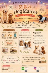 【犬好き集まれ🐶】夕暮れドッグマルシェを一緒に満喫しませんか？＠堺市（1人参加・初参加歓迎）