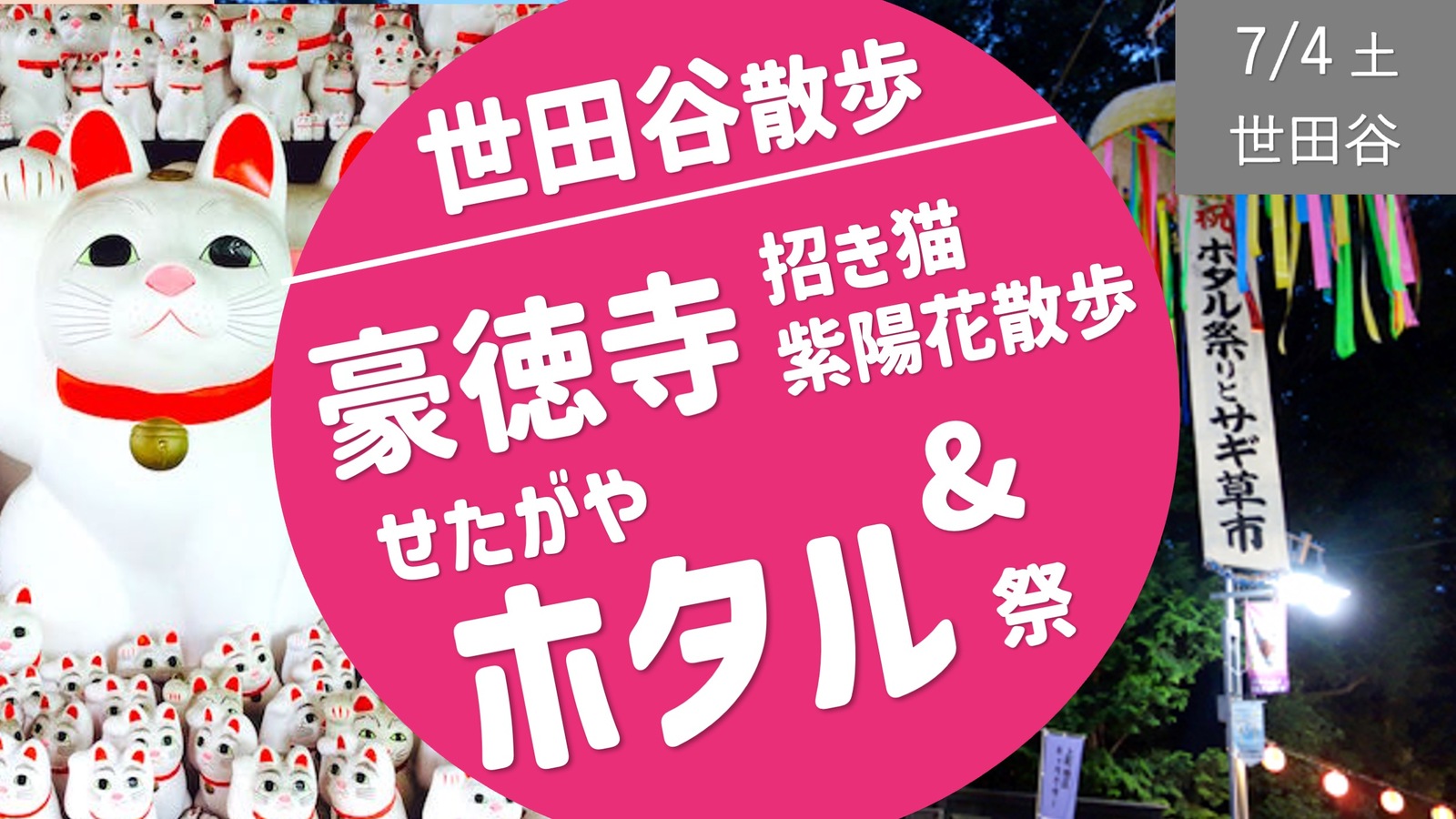 [世田谷②] 豪徳寺 招き猫・紫陽花散歩＆ホタル祭り