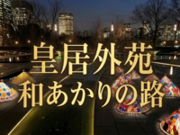 【20・30代限定】丸の内「和あかりの路」で楽しむ和傘ライトアップと夜景散歩