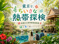 ここは熱帯雨林？魚と緑に出会う小さな海外旅行。「熱帯の昆虫」展も開催中！