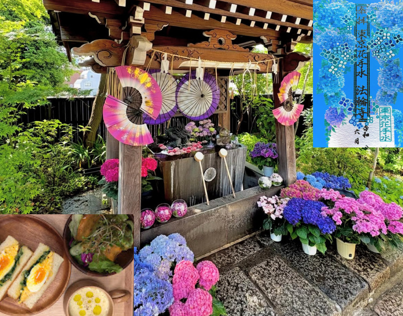 【限定紫陽花切り絵御朱印を頂こう！】6/27 13時　早稲田　法輪寺！参加費還元！【参拝後はオーガニックカフェへ！】