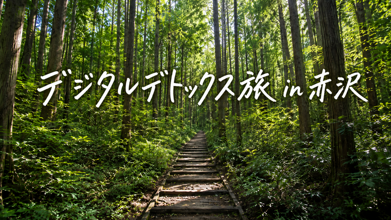 【女性2名主催】【20〜30代限定】🌿日帰りデジタルデトックス旅 in 赤沢自然休養林🌿