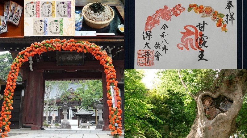 【女性主催】深大寺とハート型御神木がある神社に行ってお蕎麦食べに行こう！