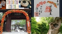 【女性主催】深大寺とハート型御神木がある神社に行ってお蕎麦食べに行こう！