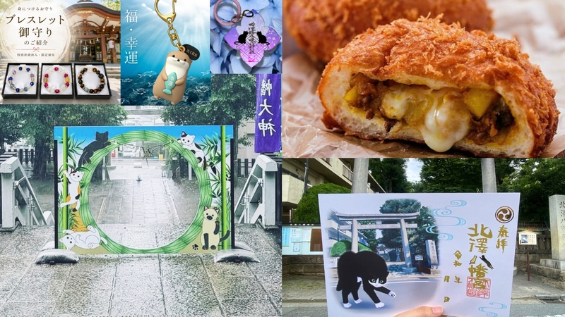 【女性主催】可愛い猫ちゃんで厄祓いできる北澤八幡神社と下北沢でちょっと食べ歩きしよう！