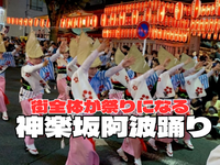 🎐 【圧倒的な迫力‼️】神楽坂・阿波踊りを飲み物片手に間近で楽しもう！ 🎐【例年通り浴衣参加あり】