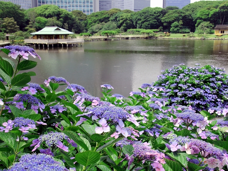 【7/4（土） 15:00〜】浜離宮庭園で優雅な休日を過ごしましょう🌈　女性主催！20〜30代前半対象！
