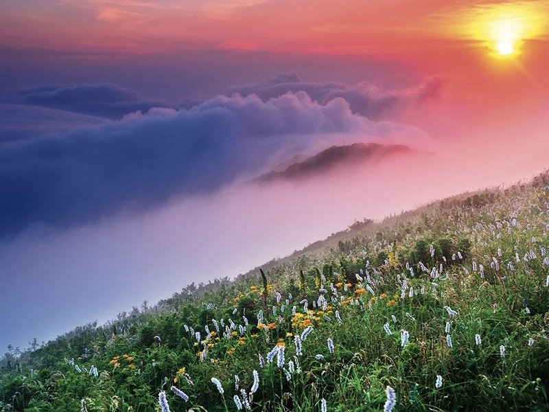 伊吹山🌠ナイトハイキング＆ホタル観賞会 7/4(土)〜7/5(日)