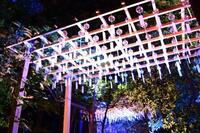 【浴衣DEお出かけ】夏夜の氷川神社風鈴回廊＆川越散策🎐夏の思い出を作りましょう🎵