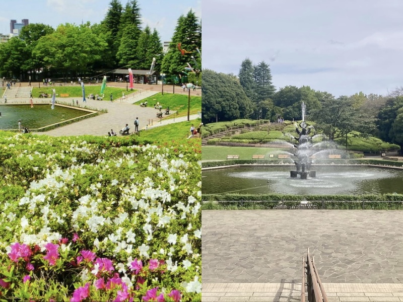 【20代30代限定】緑あふれる世田谷公園で、ゆるっと休日さんぽ🍀