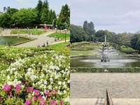 【20代30代限定】休日を一緒に楽しめる友達が見つかる♪ 世田谷公園さんぽ🍀